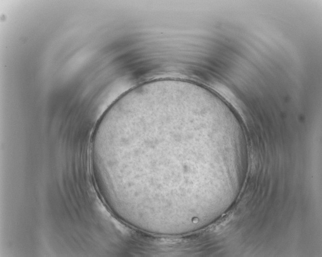 X0000088831290200706281746