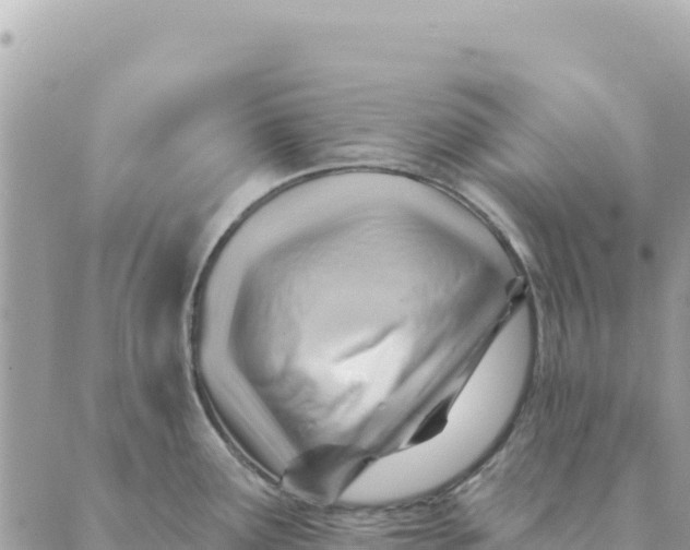 X0000088831291200706281746