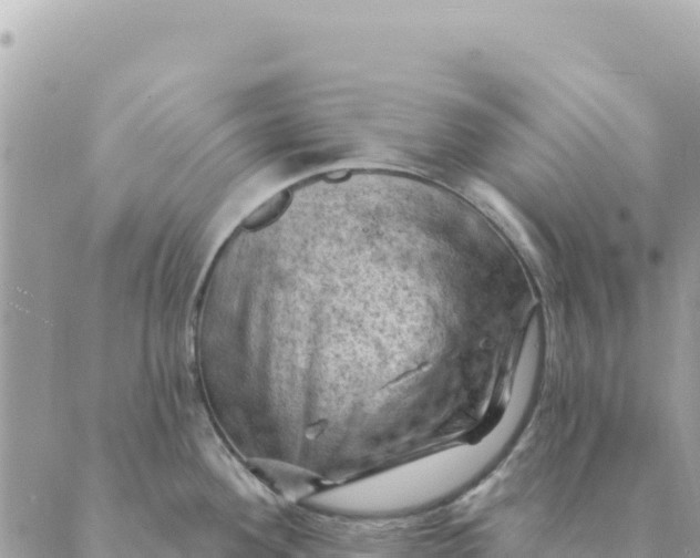 X0000088831292200706281746