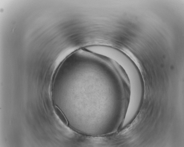 X0000088831293200706281746