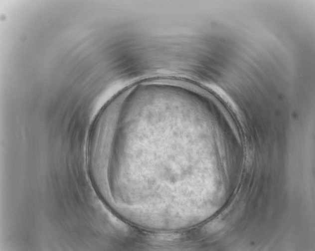 X0000088831294200706281746