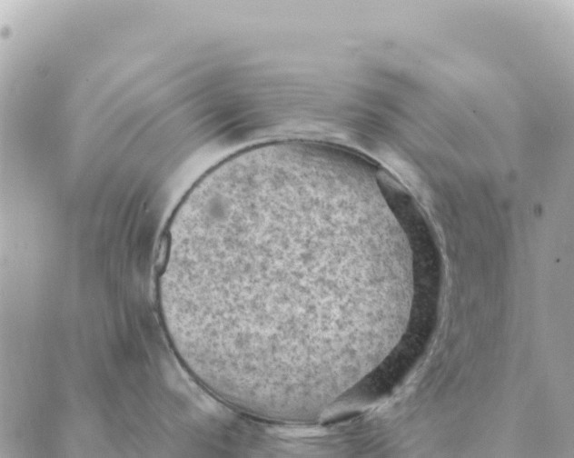 X0000088831296200706281746