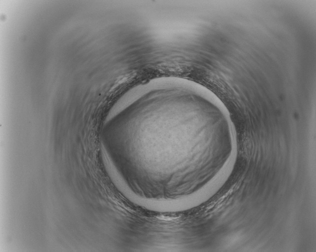 X0000088831297200706281746