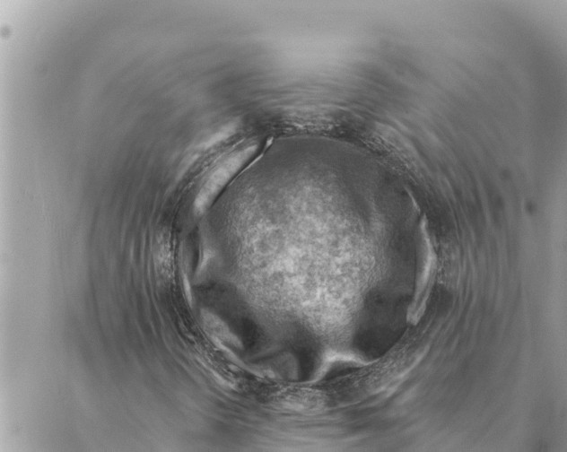 X0000088831298200706281746