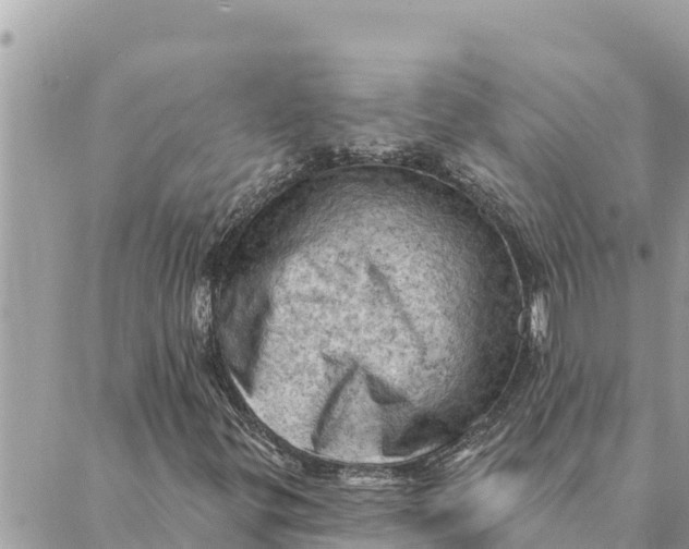 X0000088831299200706281746