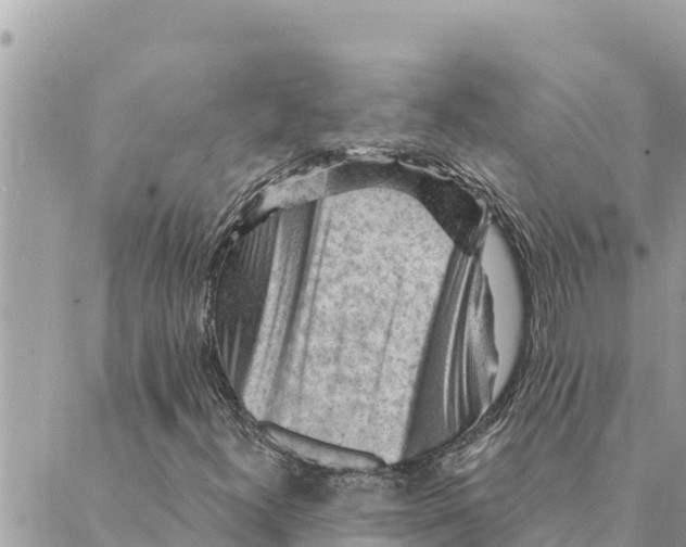 X0000088831300200706281746