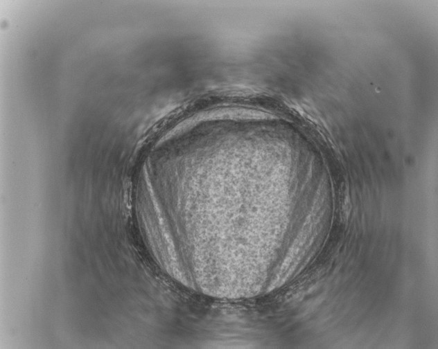 X0000088831301200706281746