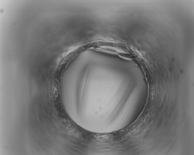 X0000088831303200706281746