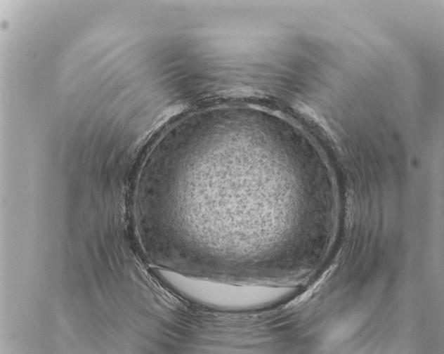 X0000088831305200706281746