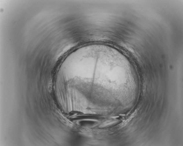 X0000088831306200706281746