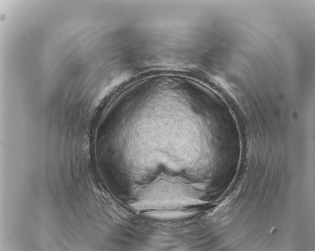 X0000088831307200706281746