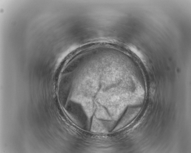 X0000088831310200706281746