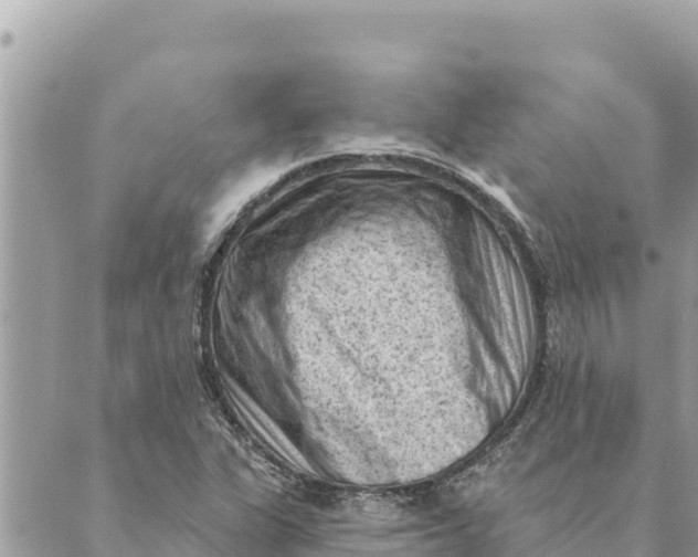 X0000088831311200706281746