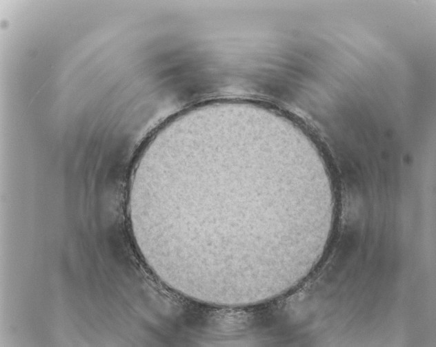 X0000088831314200706281746