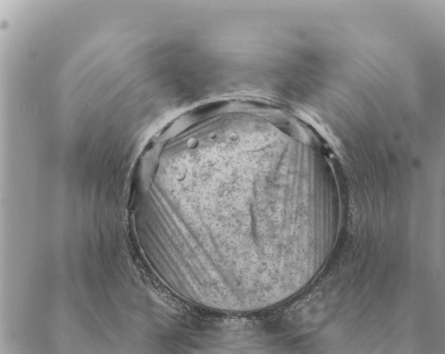 X0000088831316200706281746