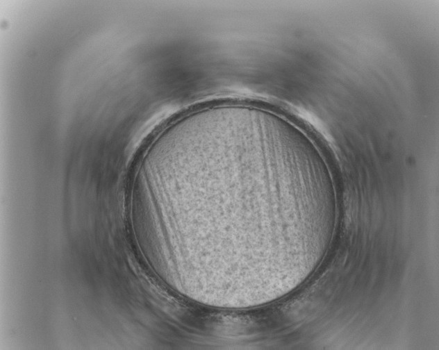 X0000088831318200706281746