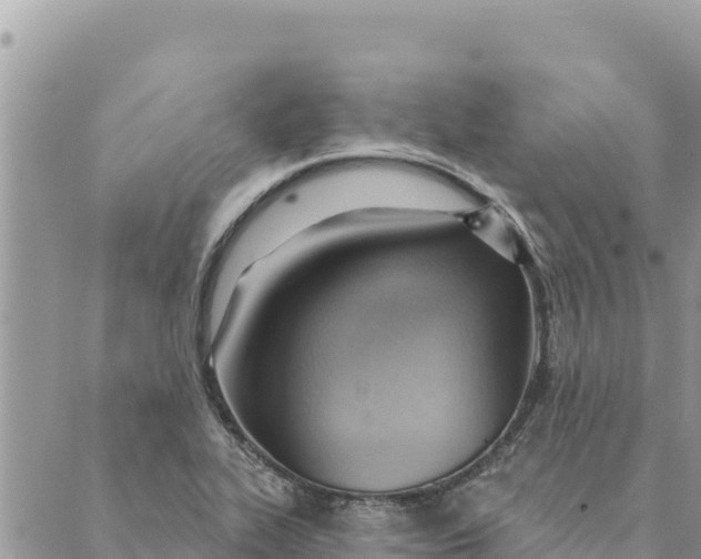 X0000088831319200706281746