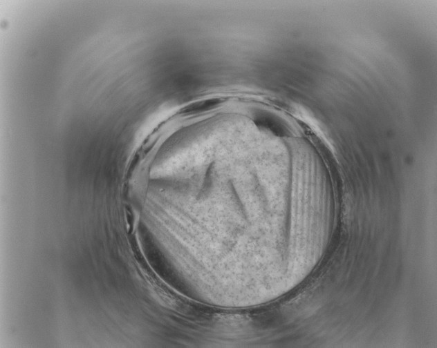 X0000088831320200706281746