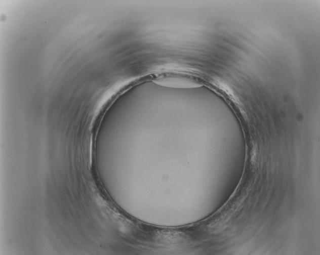 X0000088831323200706281746