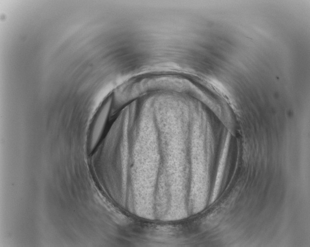 X0000088831326200706281746