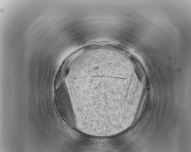 X0000088831328200706281746