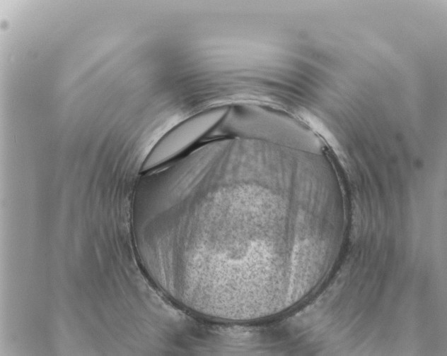 X0000088831329200706281746