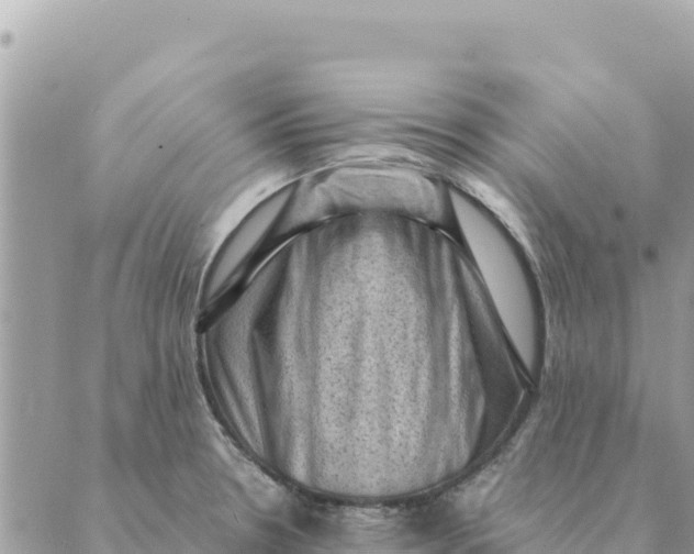 X0000088831330200706281746