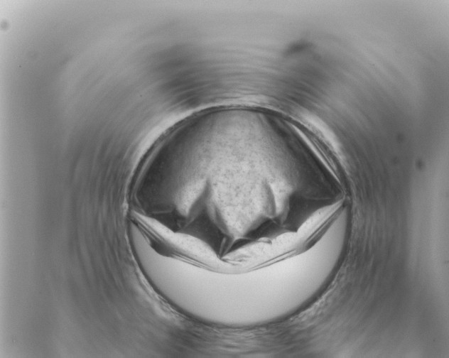 X0000088831332200706281746