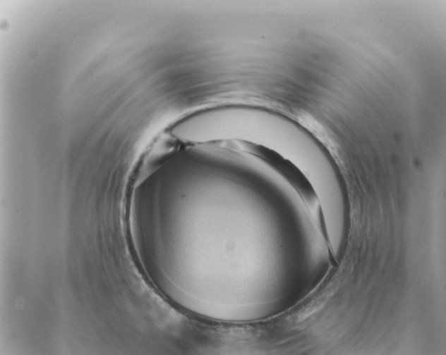 X0000088831334200706281746