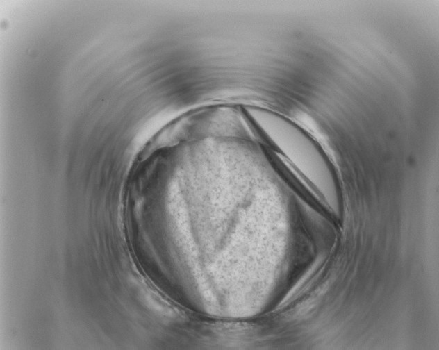 X0000088831336200706281746