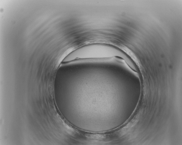 X0000088831337200706281746