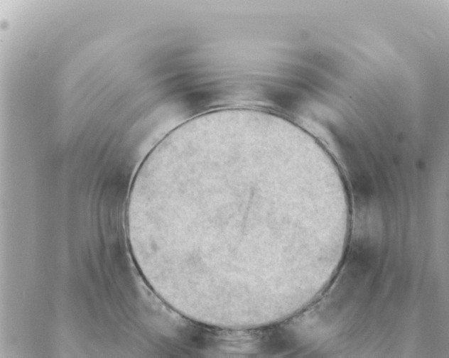 X0000088831338200706281746