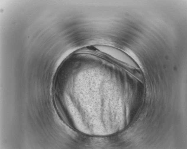 X0000088831339200706281746