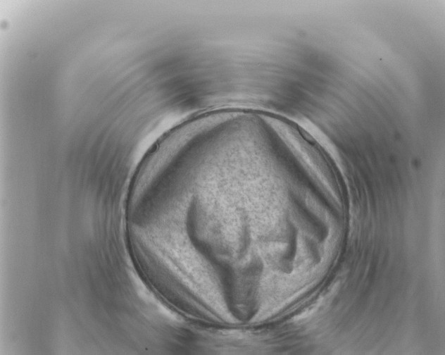 X0000088831341200706281746