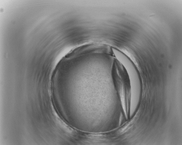 X0000088831342200706281746