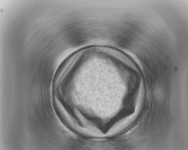 X0000088831343200706281746