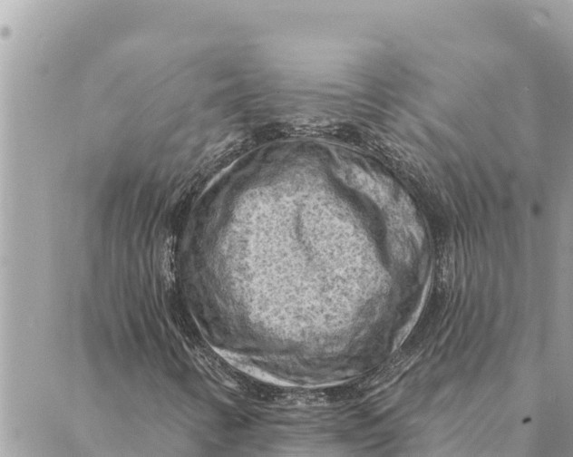 X0000088831346200706281746