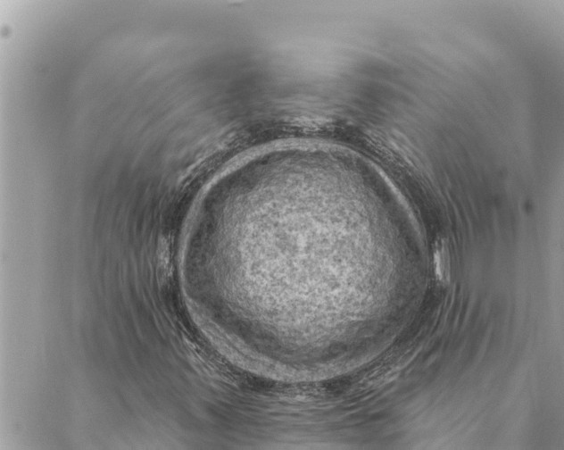 X0000088831347200706281745