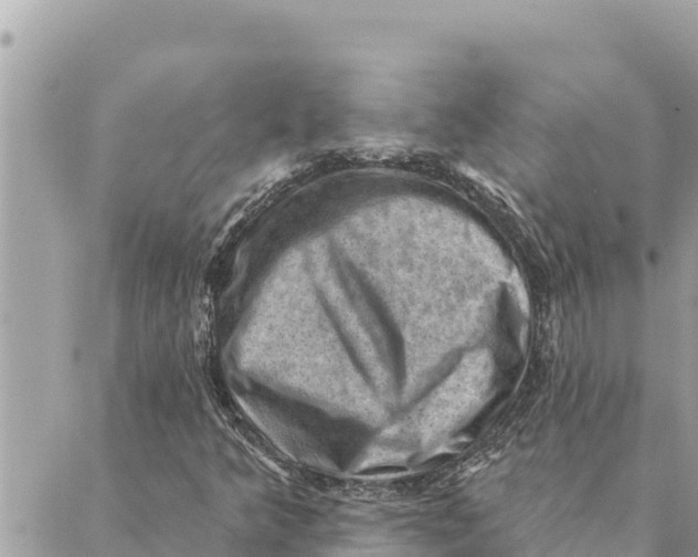 X0000088831349200706281745