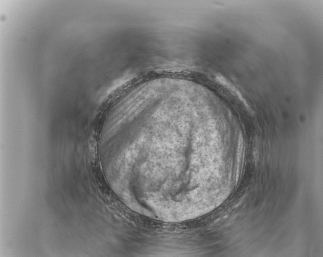 X0000088831350200706281745