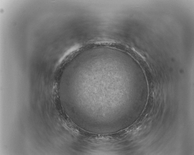 X0000088831351200706281745