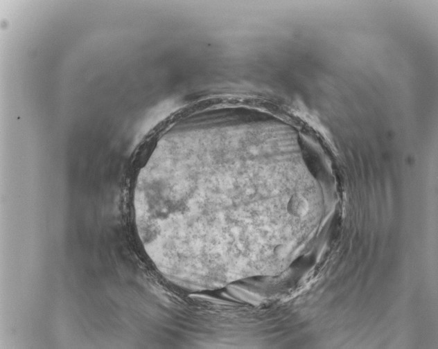 X0000088831352200706281745