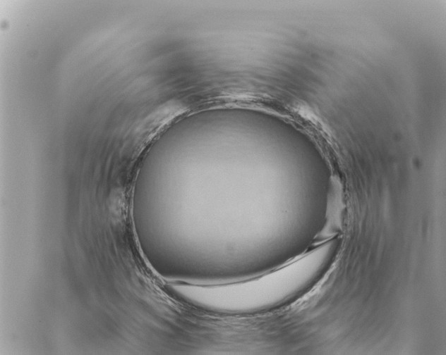 X0000088831353200706281745