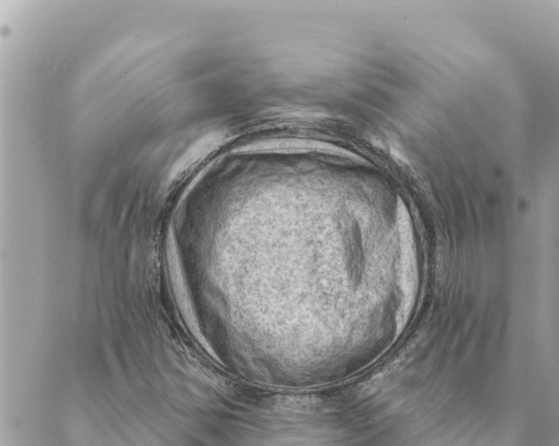 X0000088831354200706281745