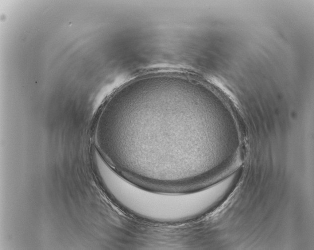 X0000088831357200706281745