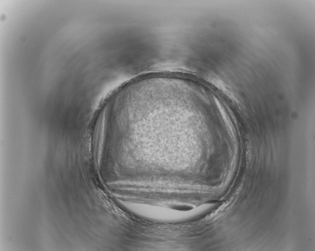 X0000088831358200706281745