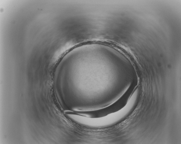 X0000088831359200706281745