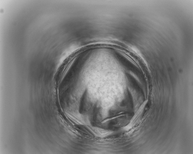 X0000088831360200706281745