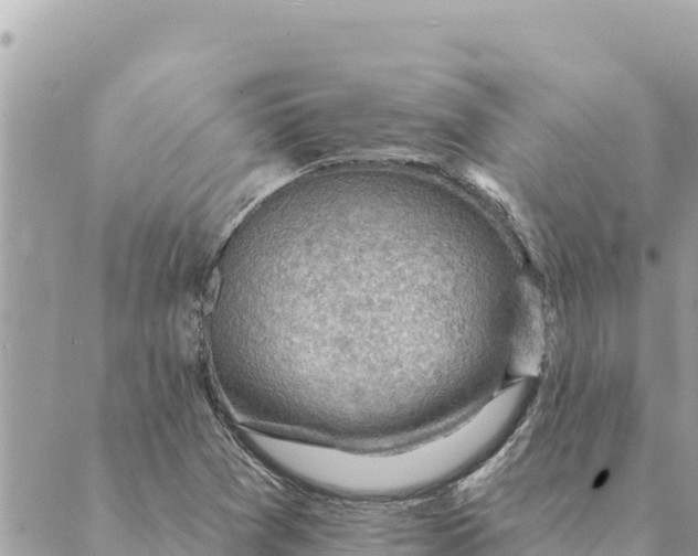 X0000088831361200706281745