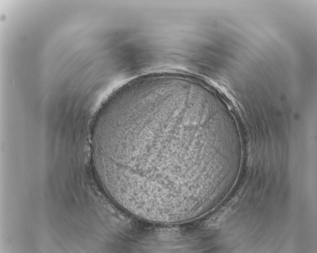 X0000088831363200706281745